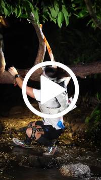 BIB:  <button type="button" onclick="openModal(27824880)" class="btn btn-primary btn-sm float-right" data-toggle="modal" data-target=".modal-high-quality">
                <i class="fa fa-download"></i> Download
                </button>